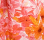 Clairemont Dress